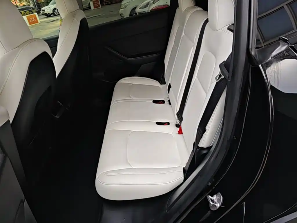 Tesla Model Y 2021 2021 Standard Range Rear-Wheel Drive