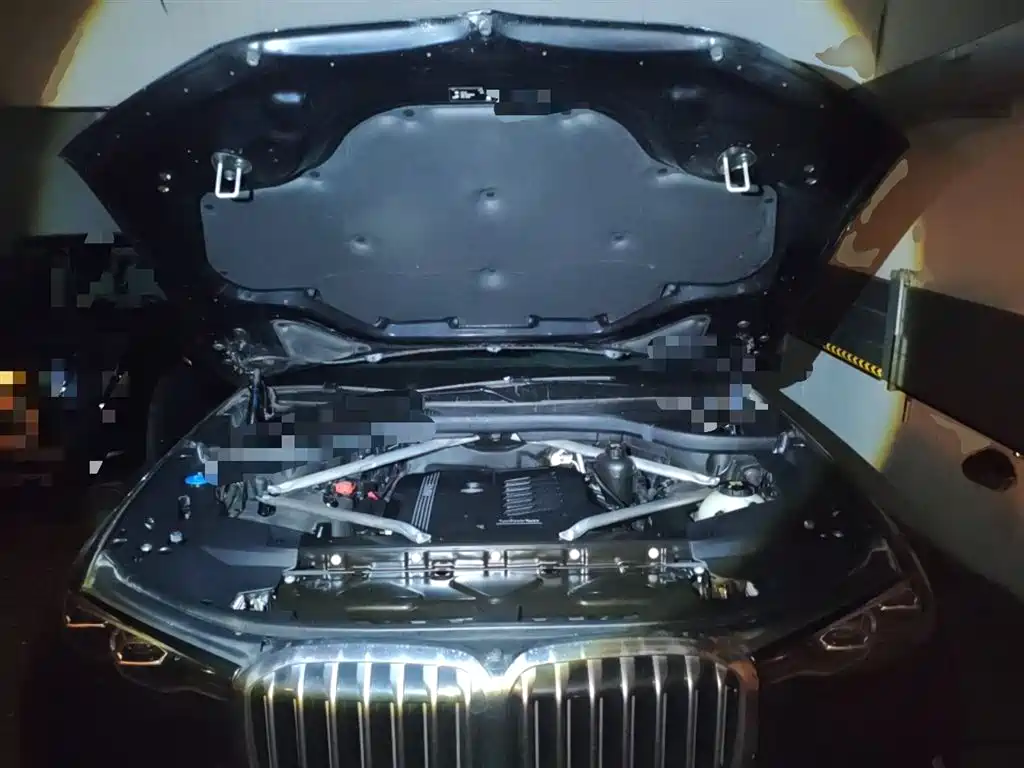 BMW X7 2020 xDrive40i Leading Luxury Package фото 10