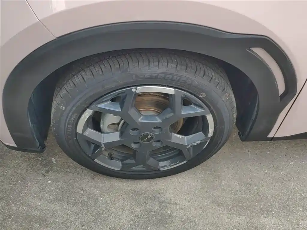 BYD Seagull 2024 Glory Edition 305km Freedom Edition фото 23