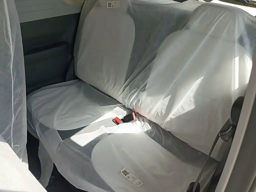Geely Galaxy Panda 2026 2025 Panda mini 210km Vitality Bear