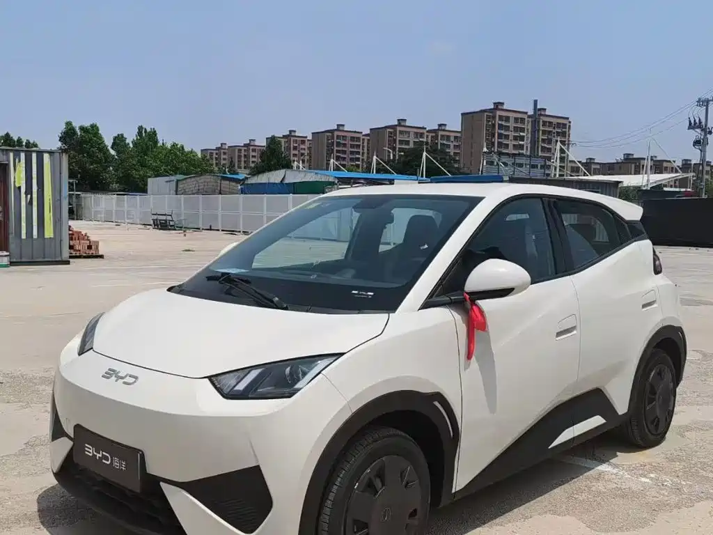 BYD Seagull 2026 2025 Smart Drive Edition 305km Vitality Version