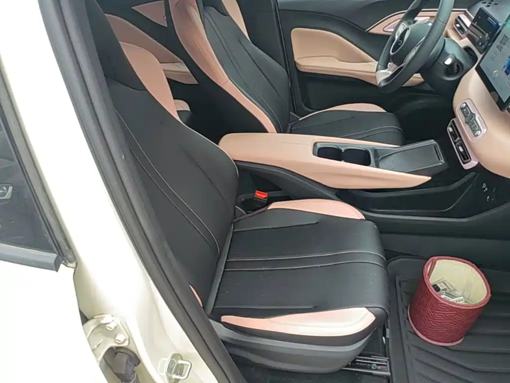 BYD Seagull 2026 2025 Smart Drive Edition 305km Vitality Version