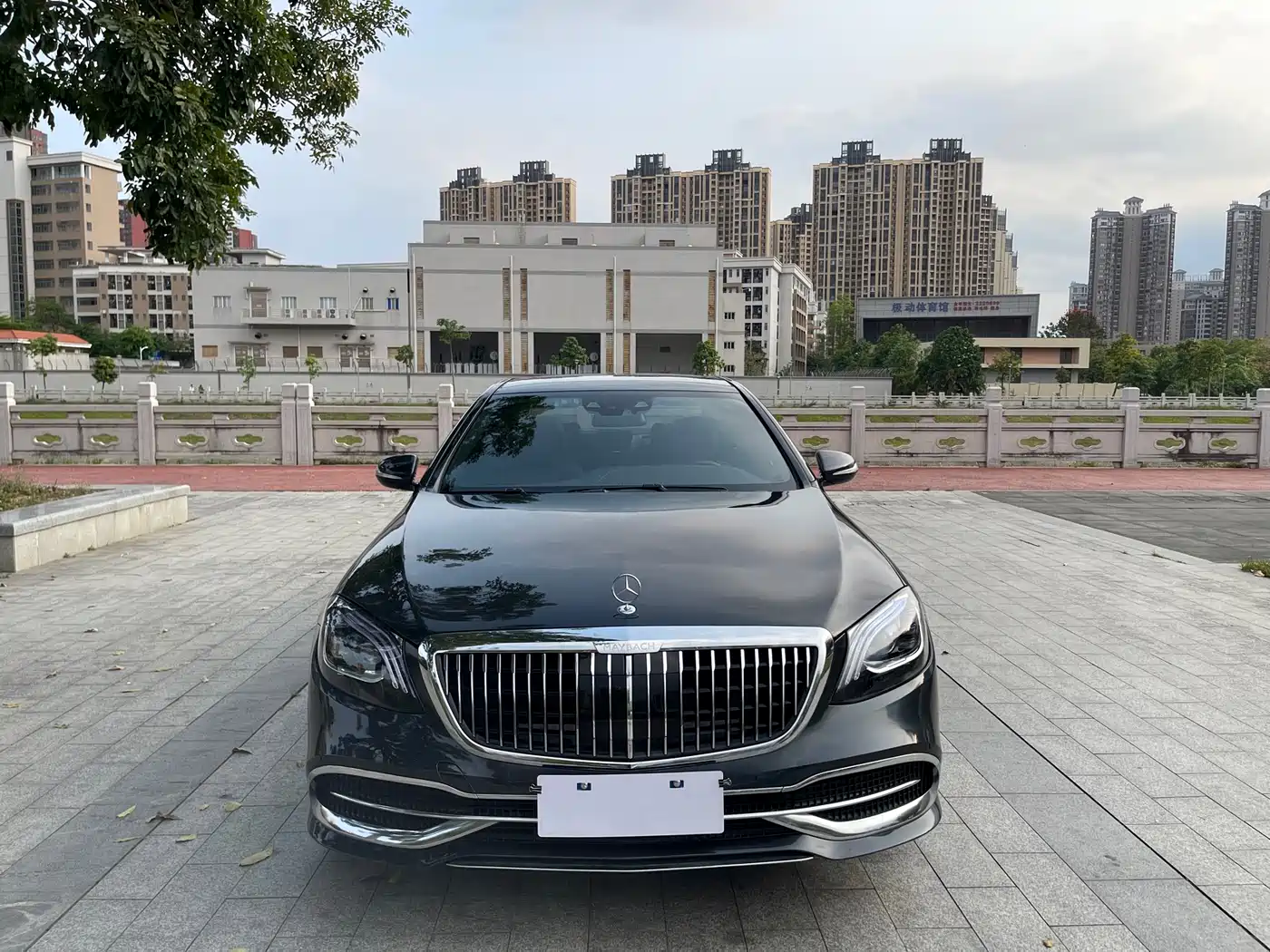 Mercedes-Benz S-Class 2014 S 400 L Premium фото 2