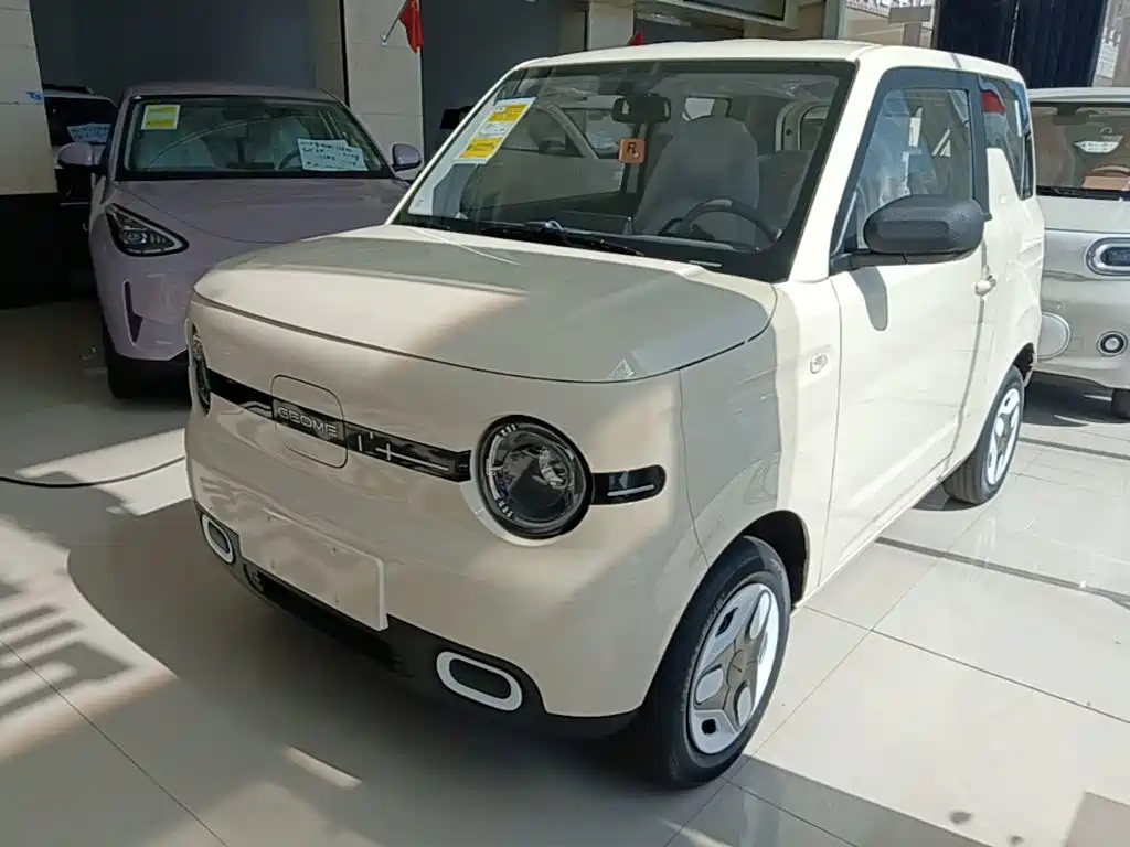 Geely Galaxy Panda 2026 2025 Panda mini 210km Vitality Bear