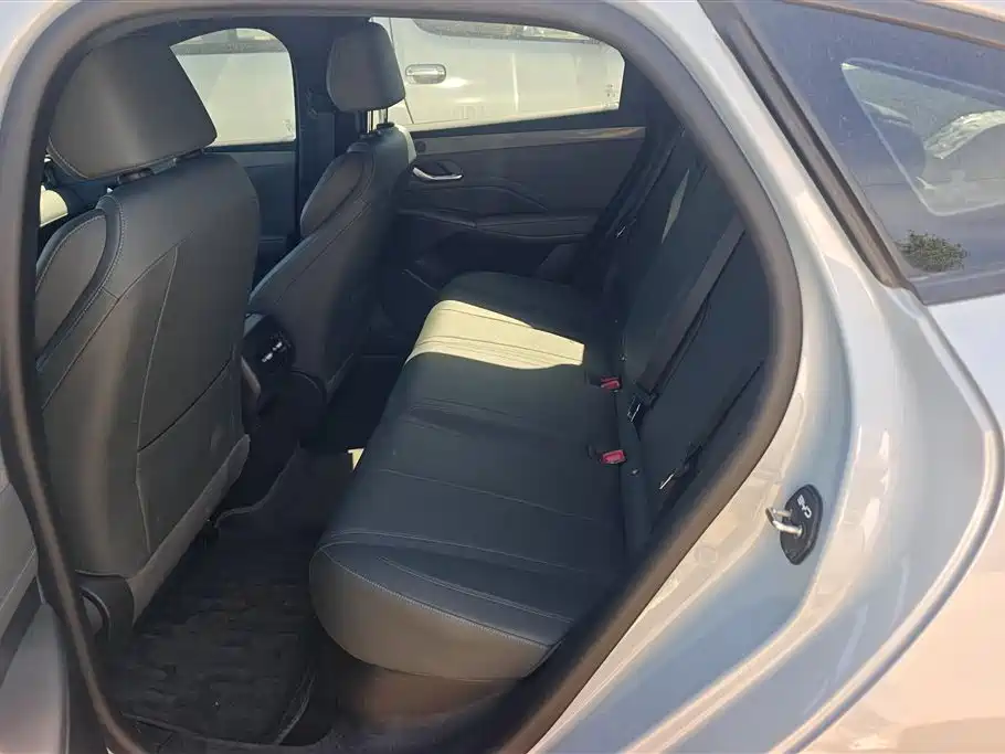 BYD Qin PLUS 2025 DM-i Smart Drive 55KM Leader фото 11