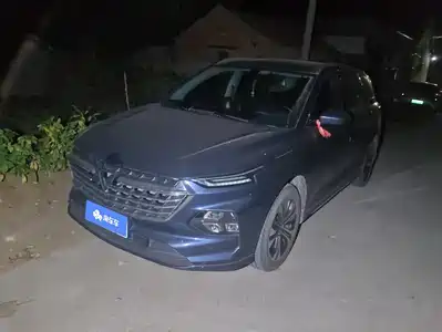 Wuling Victory