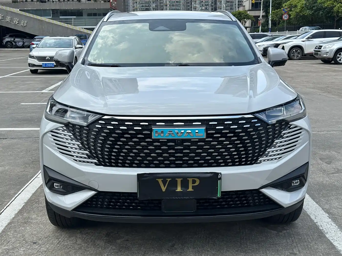 Haval H6 New Energy 2023 DHT-PHEV 110KM Joy Ride Edition фото 5