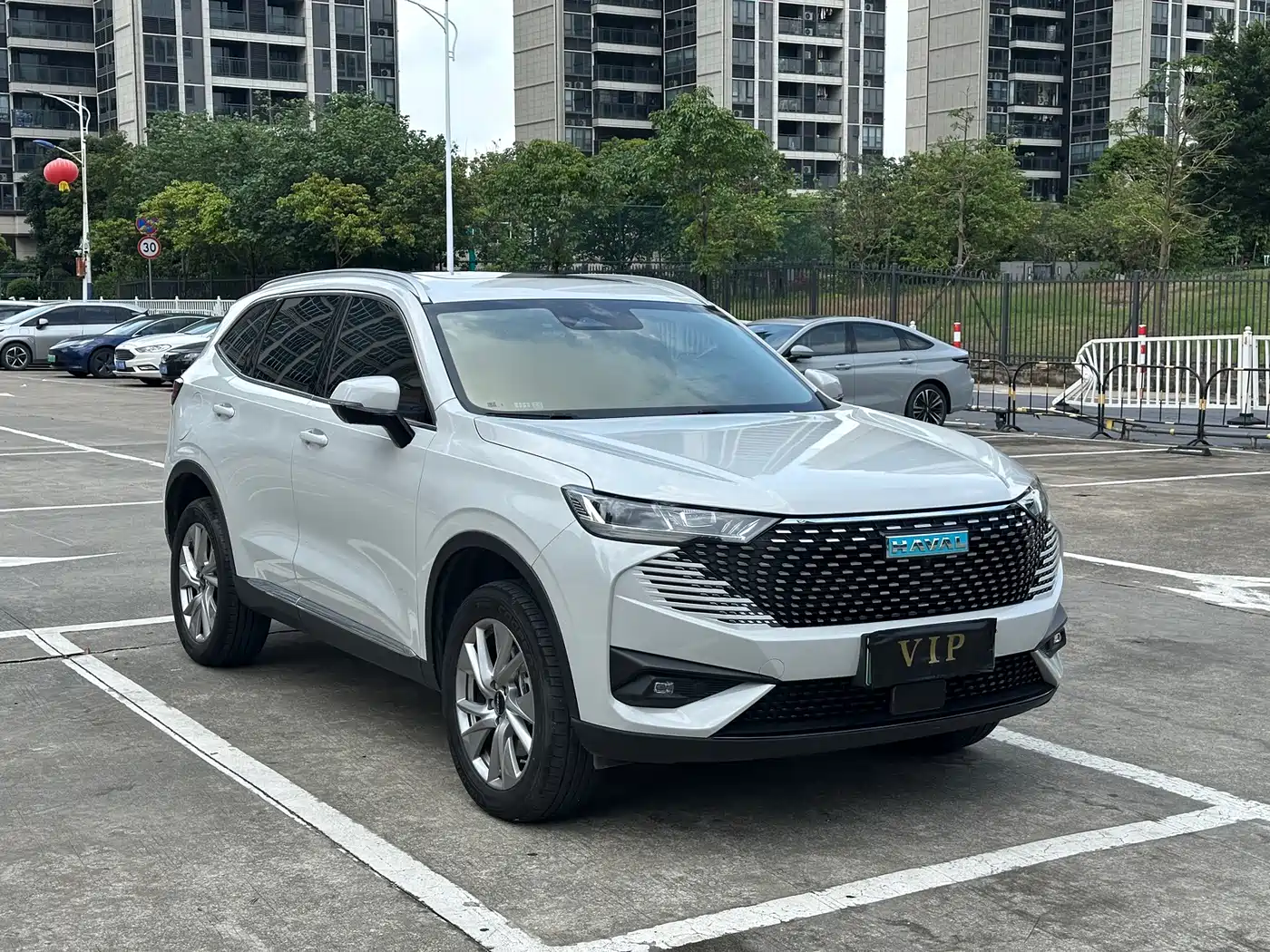 Haval H6 New Energy 2023 DHT-PHEV 110KM Joy Ride Edition фото 3