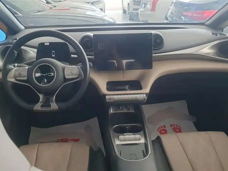BYD Dolphin 2023 420km Fashion Edition фото 12