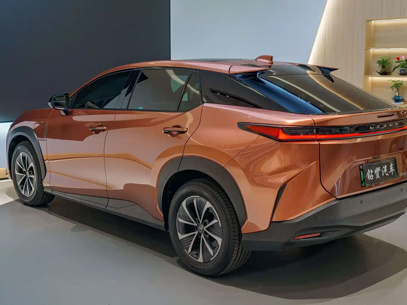 Lexus RZ 2023 450e 4WD Deluxe фото 4