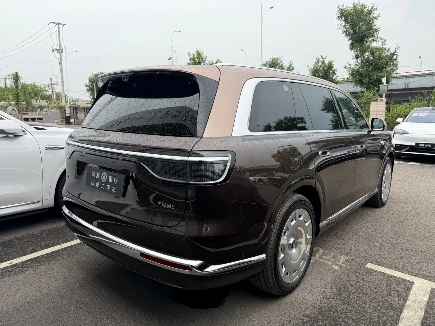 2026 AITO Wenjie AITO M9