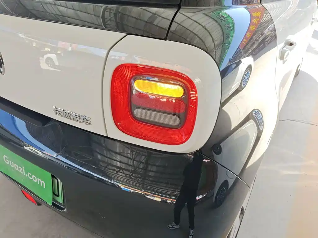 Ora Black Cat 2021 2021 301km Pet Edition