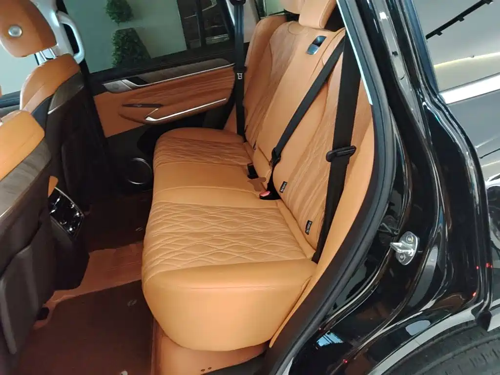Tank 500 2023 2023 3.0T Business Edition (5-seater)