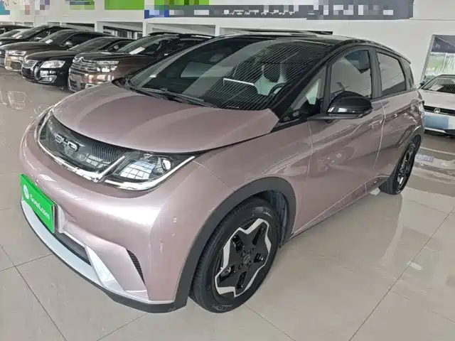 BYD Dolphin 2022