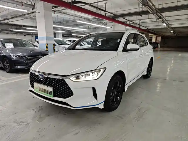 BYD e2 2019