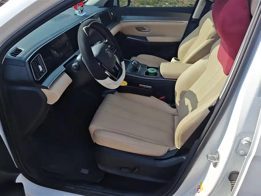 BYD Song Pro New Energy 2025 2nd Gen DM-i 75KM Surpass фото 9