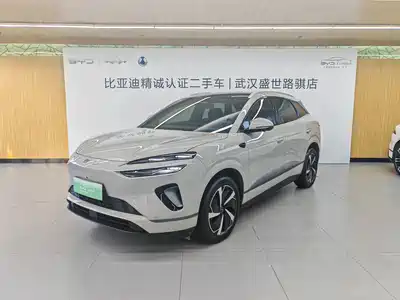 BYD Sealion 06