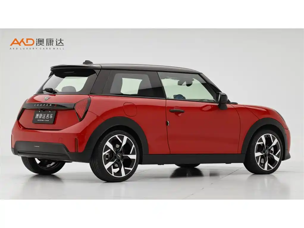 2025 MINI MINI