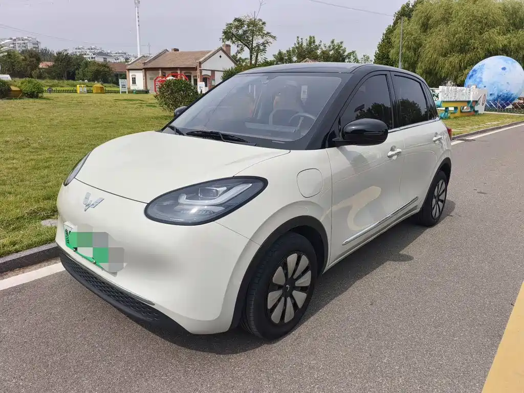 Wuling Motors Wuling Bingo 2024 333km Comfort Edition