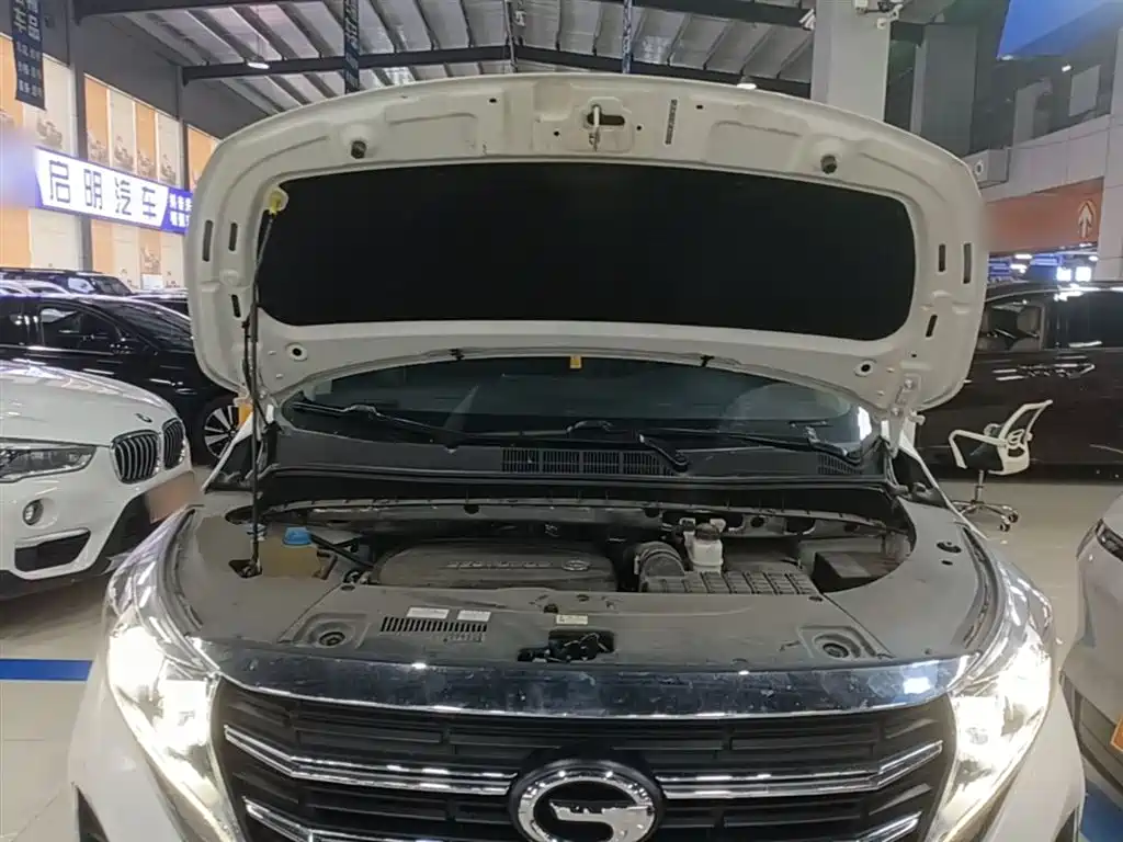 GAC Trumpchi Trumpchi M8 2021 Leading Show Series 390T Luxury Edition фото 20