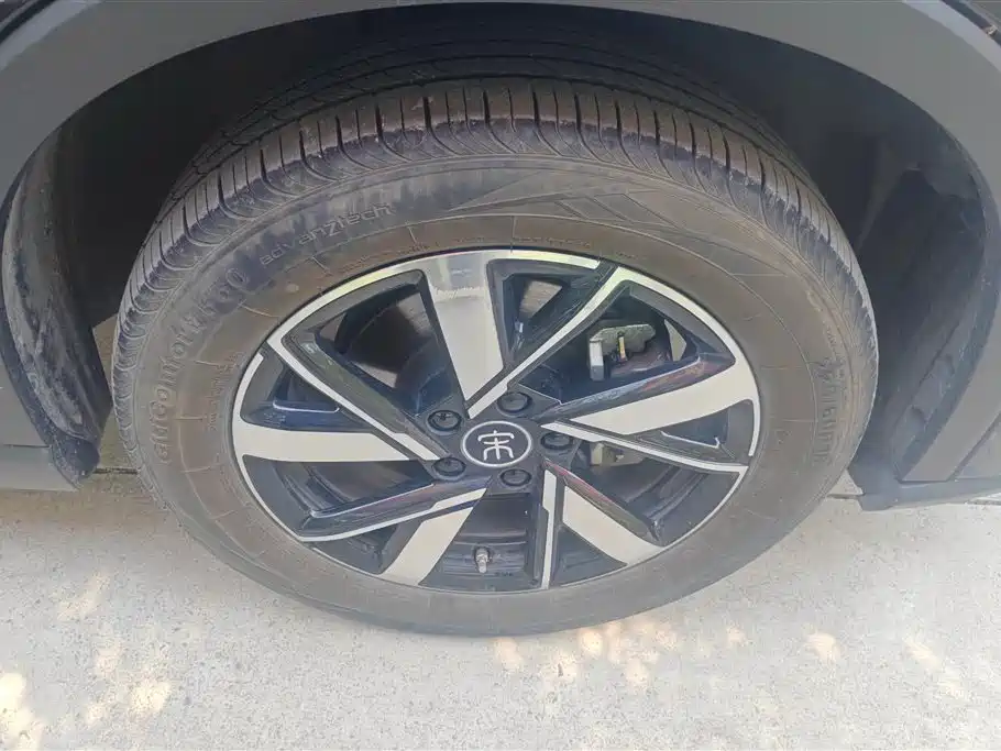 BYD Song Pro New Energy 2024 Glory Edition DM-i 71KM Pilot фото 6