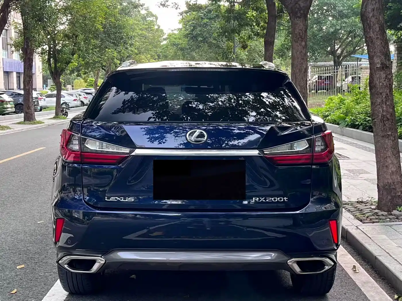 LEXUS RX