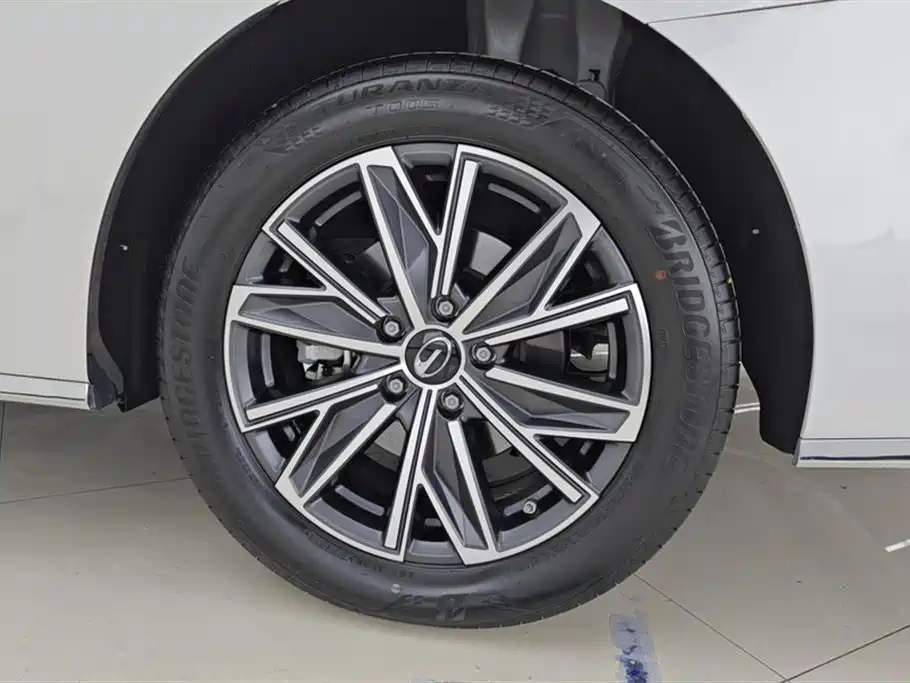 GAC Trumpchi Trumpchi M8 2024 Master Series 400T Premium Edition фото 6