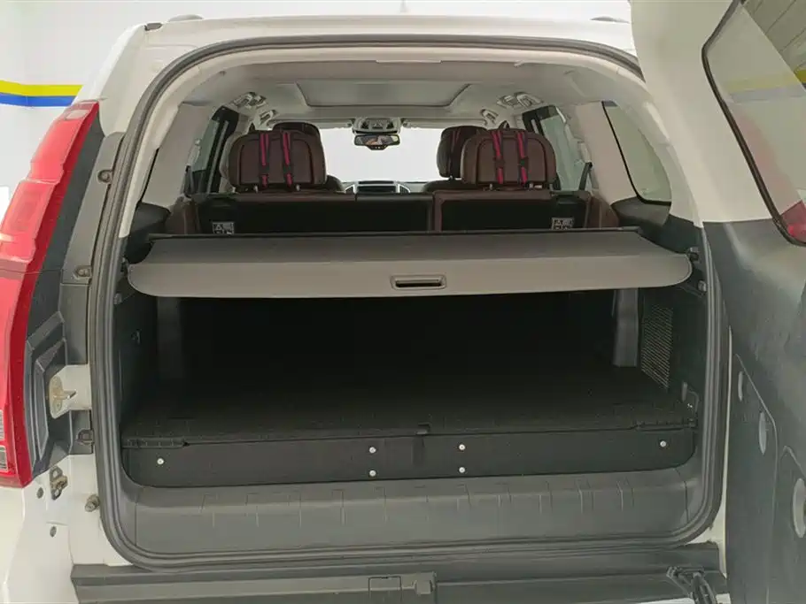 Haval H9 2020 2.0T Gasoline 4WD Premium 5-Seater фото 4