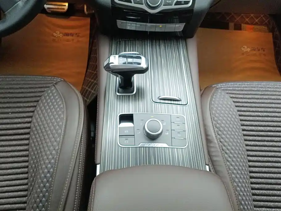 Haval H9 2020 2.0T Gasoline 4WD Premium 5-Seater фото 16