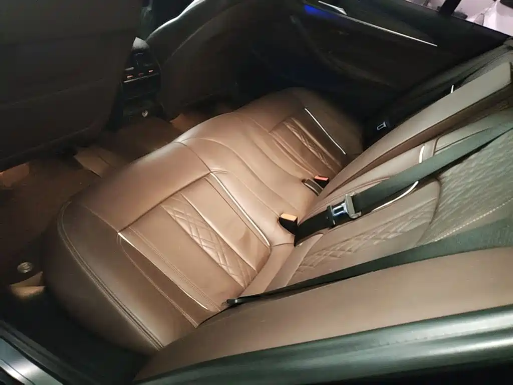 BMW 5 Series 2018 Facelift 530Li Leading Luxury Package фото 17
