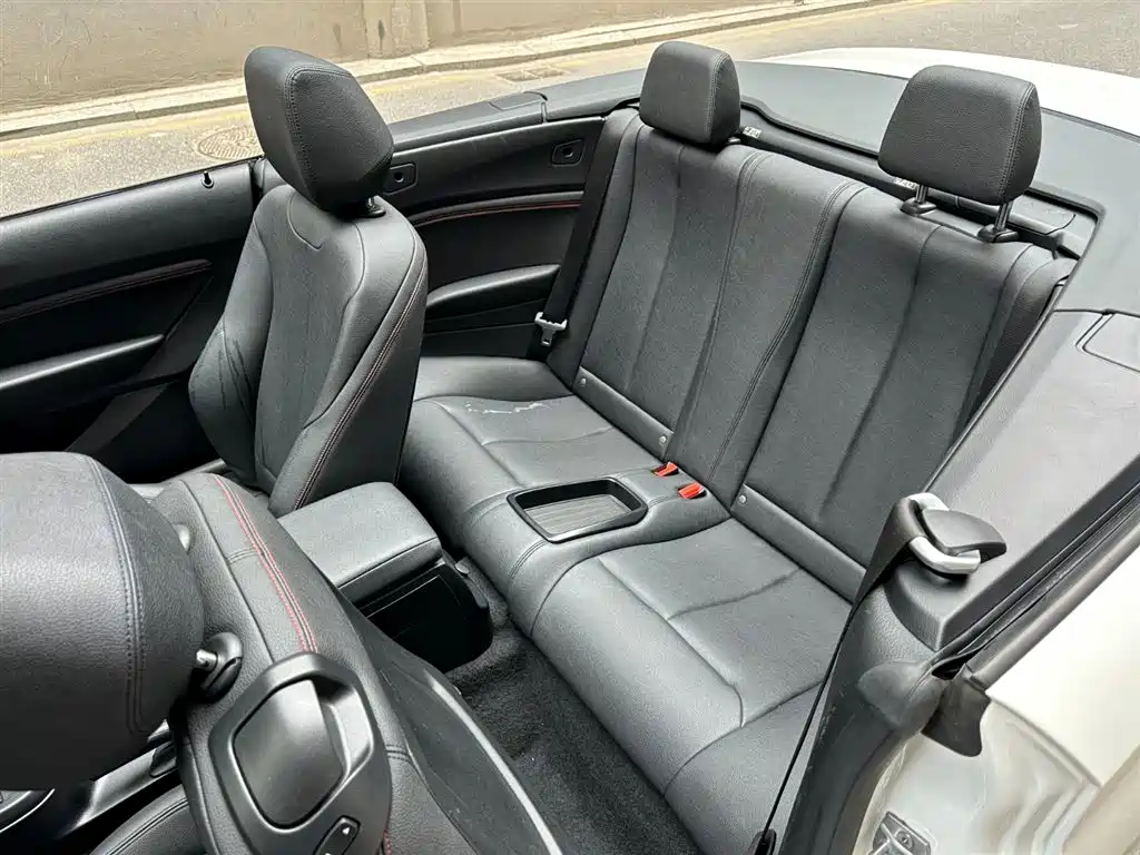 BMW 2 Series (Import) 2019 225i Convertible Coupe Sport Design Package фото 10