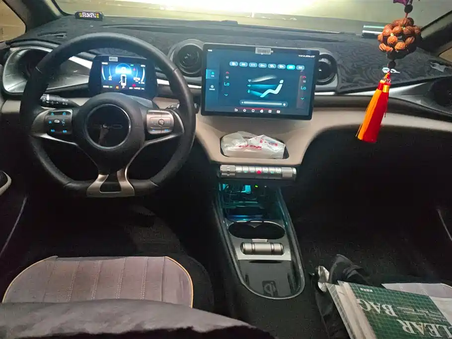 BYD Dolphin 2021 Model 405km Fashion Edition фото 12