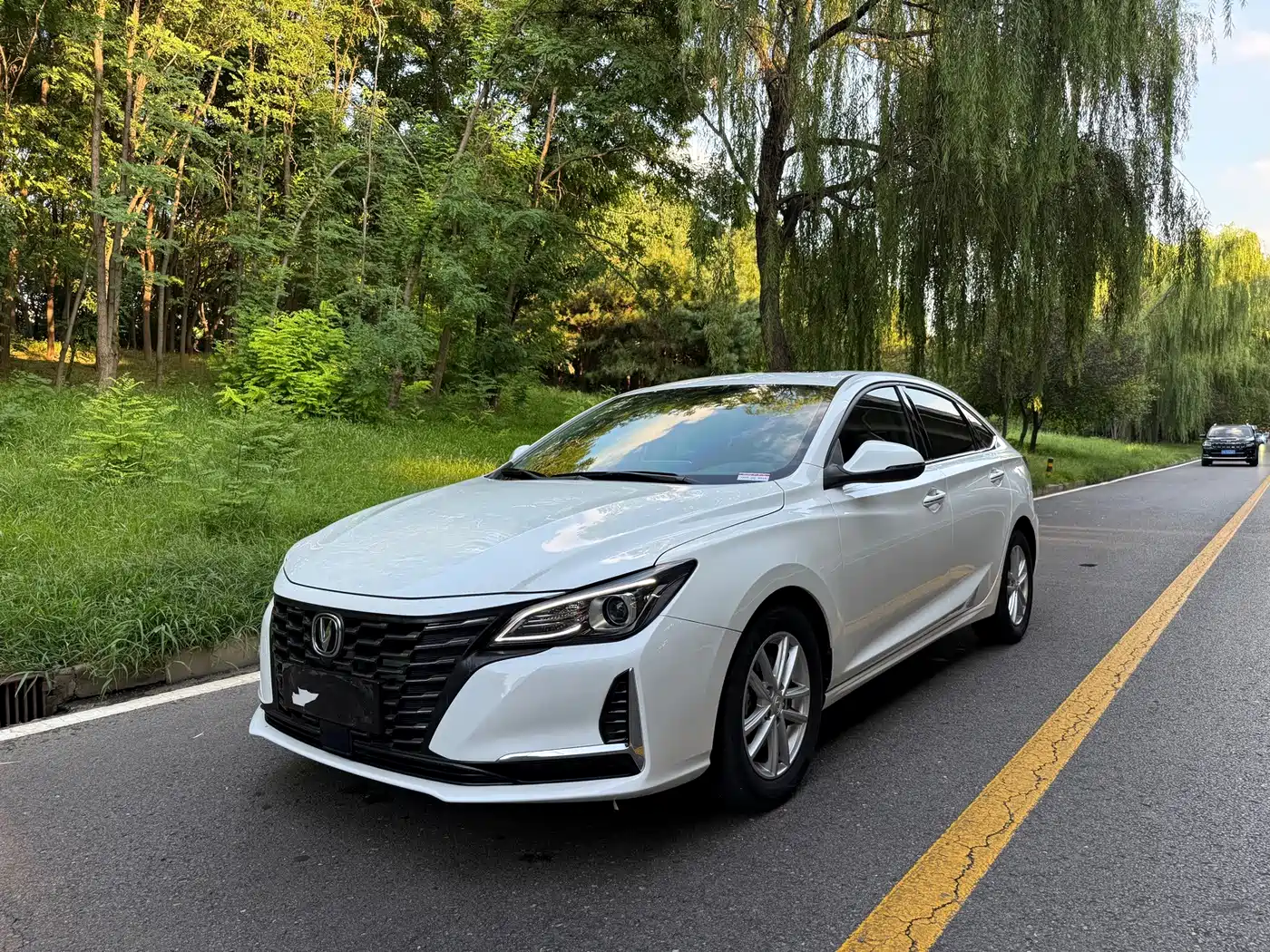 Changan Ruicheng CC 2022 2022 Blue Whale Edition 1.5T DCT Elite