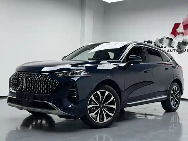  WEY Wey Mocha 2021 2.0T 4WD Premium Edition