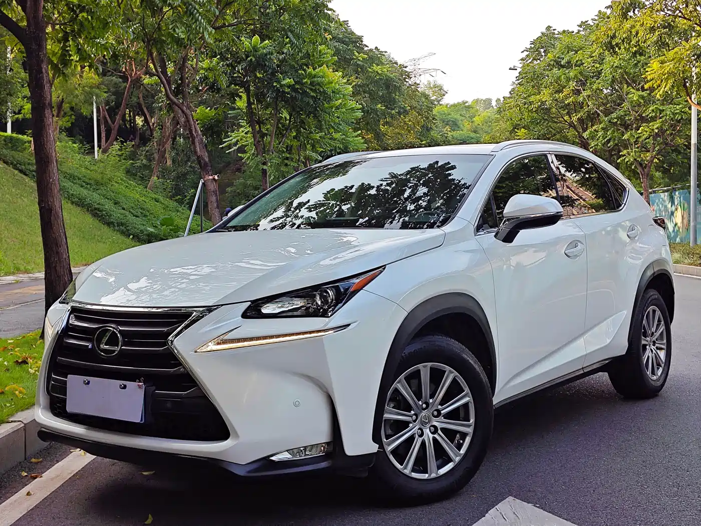 Lexus NX 2015 2016 200 AWD F Sport