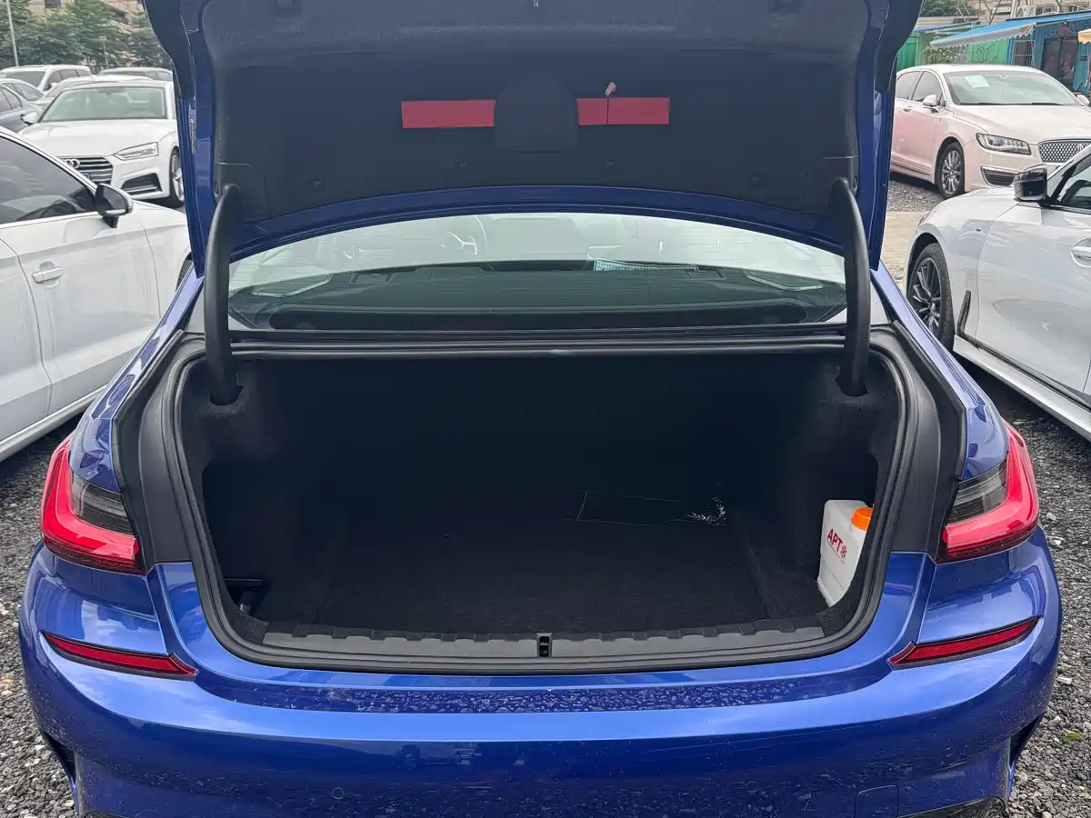 BMW 3 Series 2020 330i M Sport Blackout Package фото 19