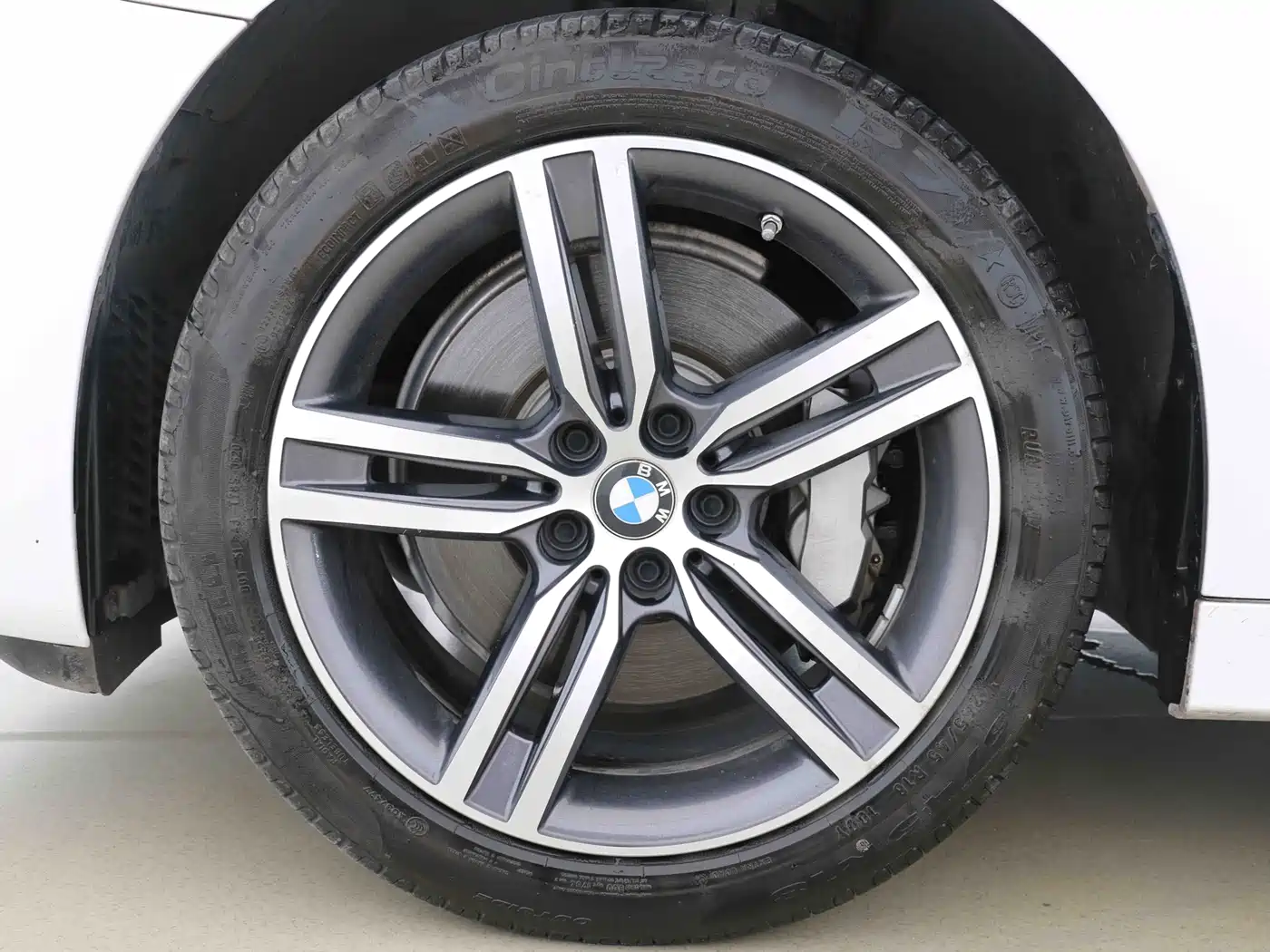 BMW 5 Series 2021 530Li Leading Luxury Package фото 13