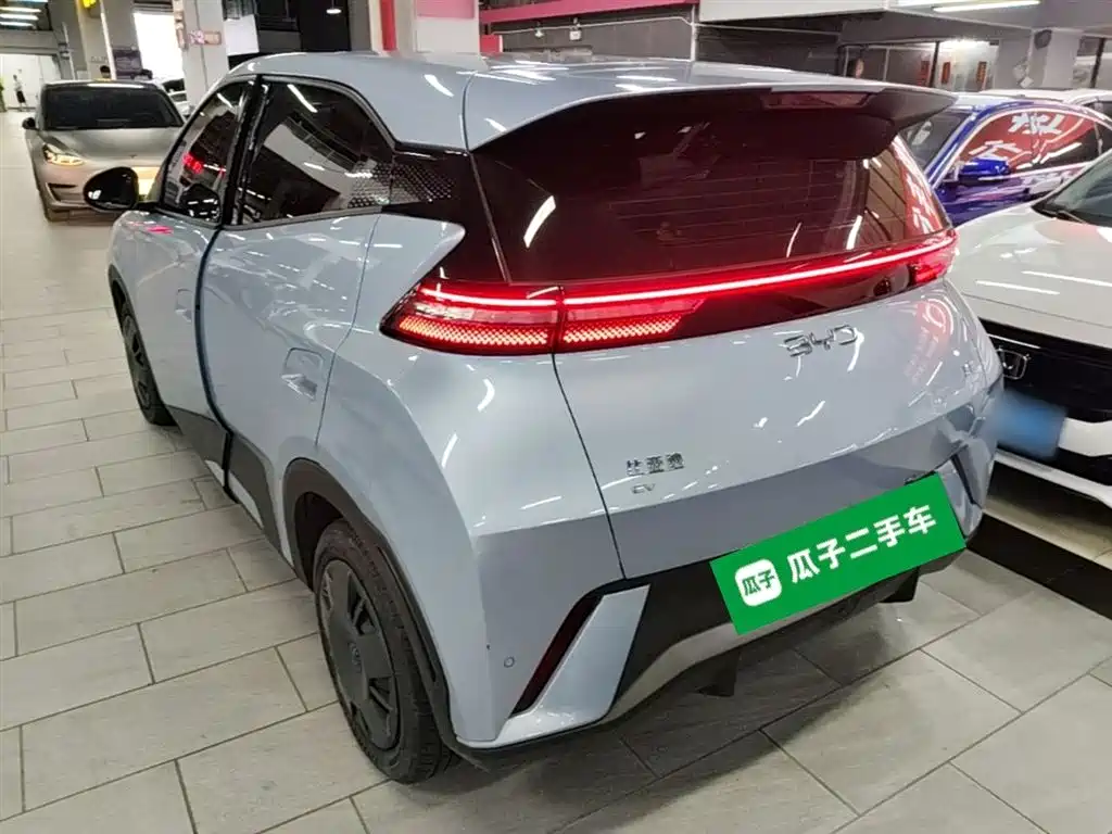 BYD Seagull 2024 Glory Edition 305km Vitality Edition фото 5