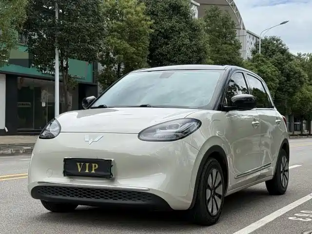 Wuling Motors Wuling Bingo 2024