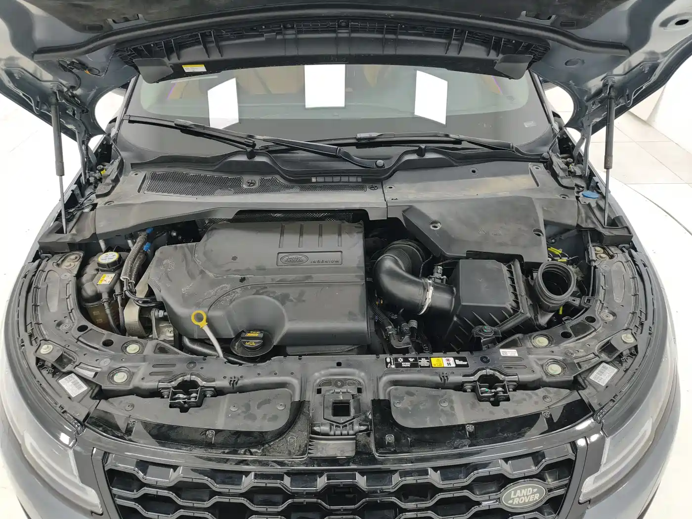 Land Rover Range Rover Evoque 2020 249PS R-DYNAMIC S First Edition Sport фото 16