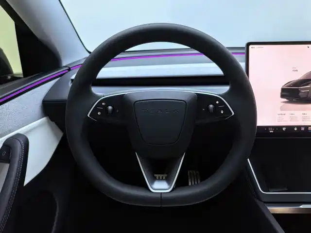 Tesla Model Y 2026 2026 Long Range Rear-Wheel Drive