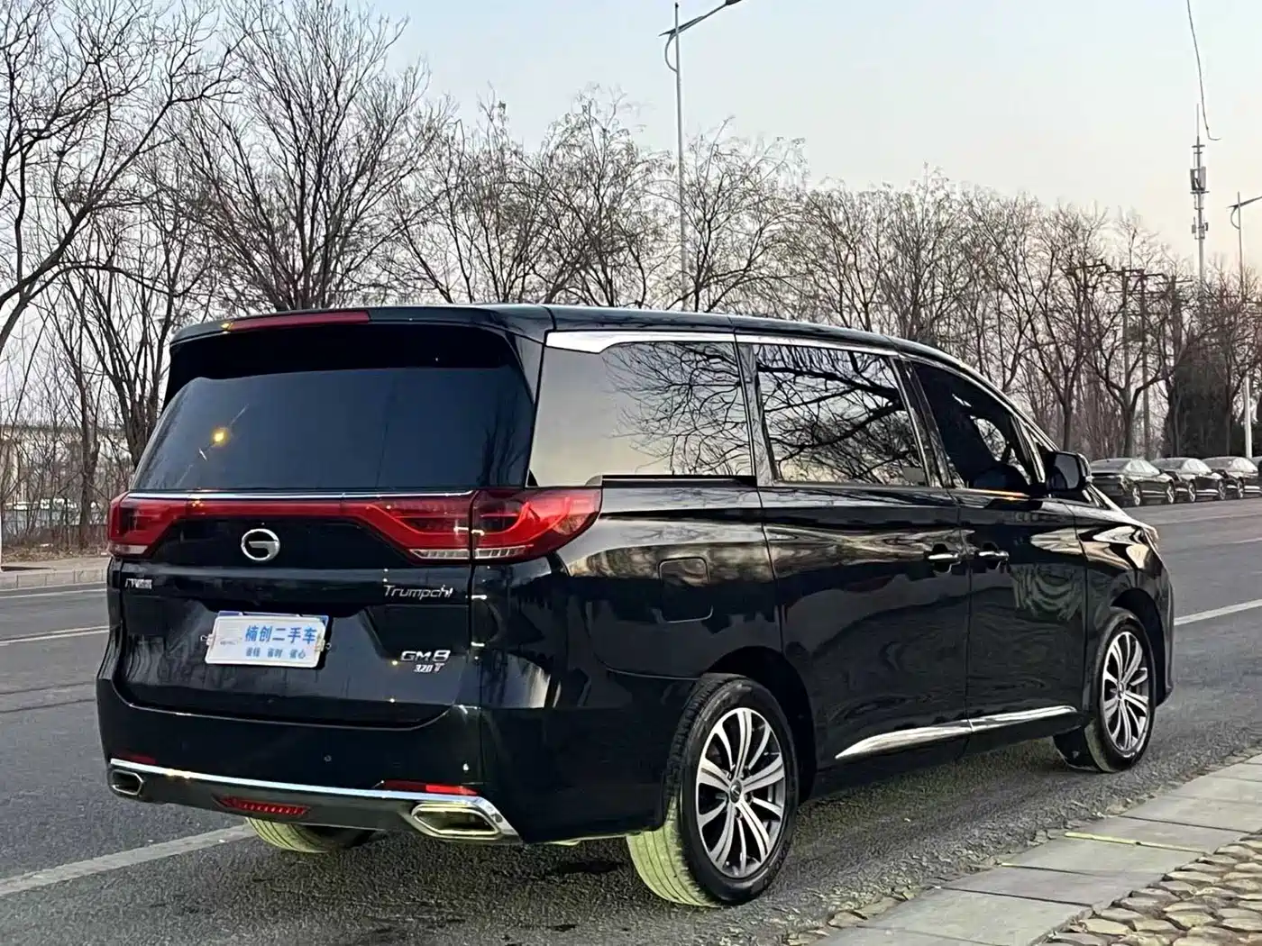GAC Trumpchi Trumpchi M8 2018 320T Premium Edition фото 4