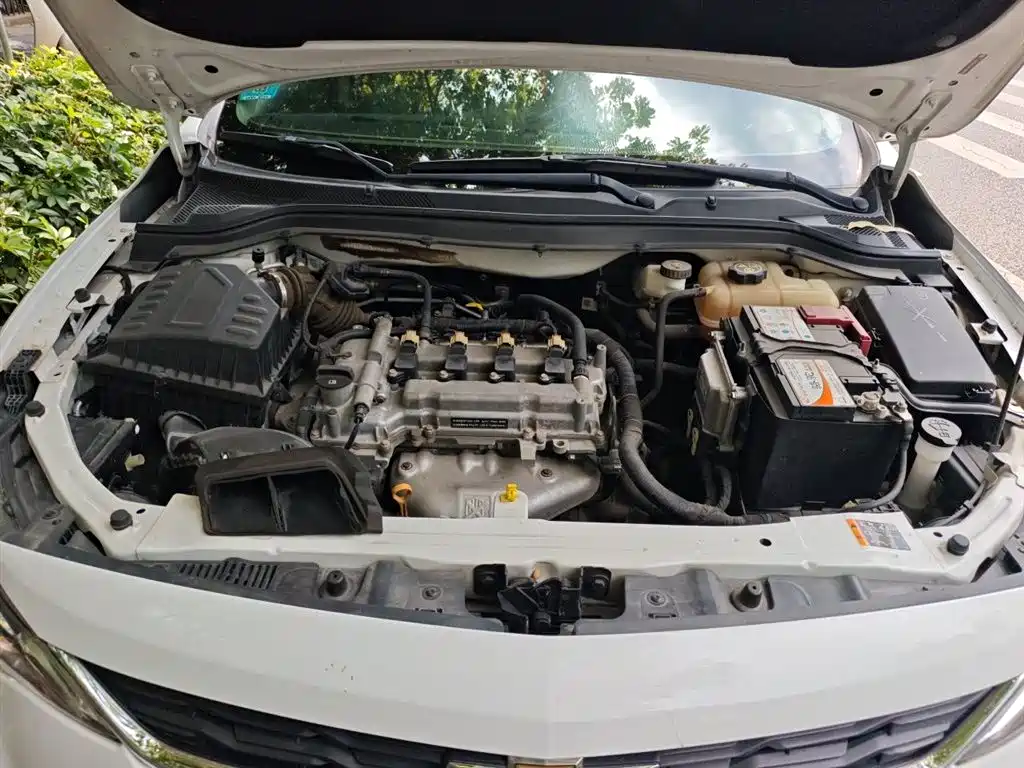 Chevrolet Cavalier 2018 320 Auto Enjoy Sunroof Edition фото 11