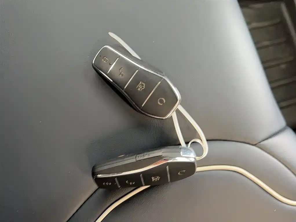 BYD Qin PLUS 2021 DM-i 55KM Flagship фото 14