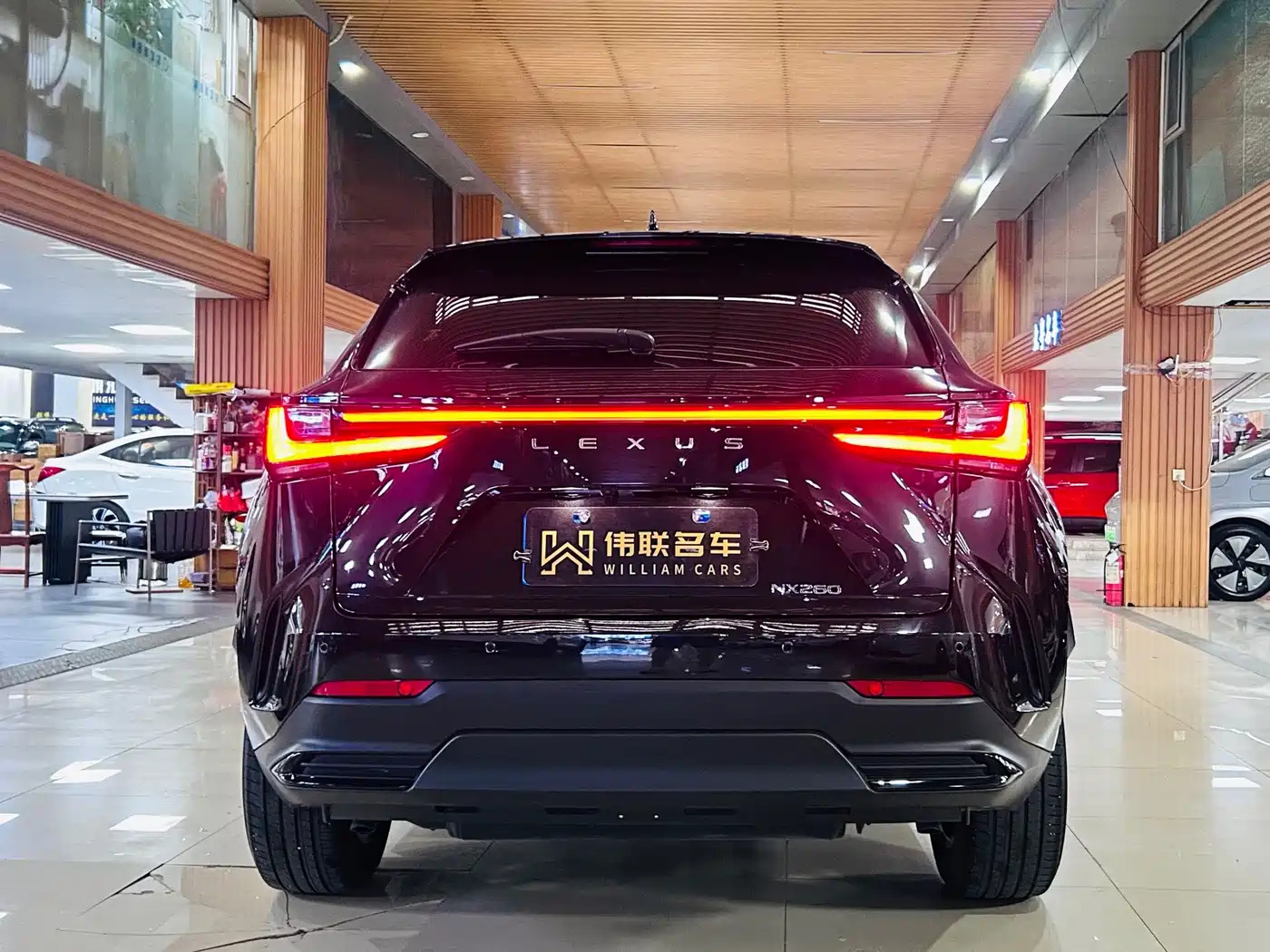 Lexus NX 2024 2023 260 FWD Joy Creation Edition