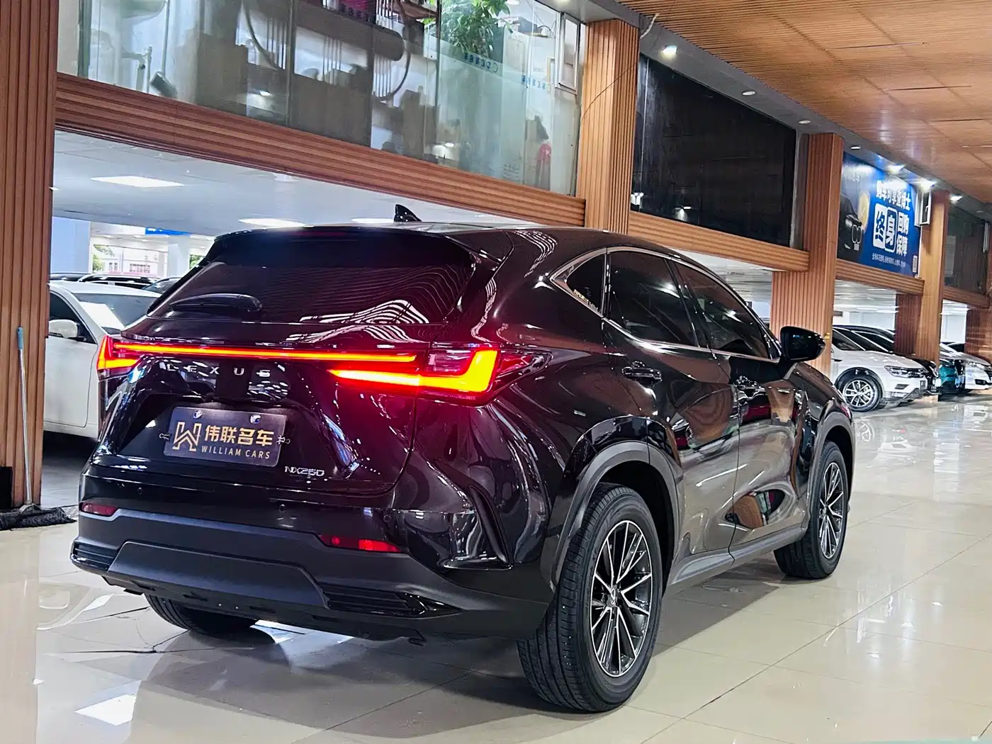 Lexus NX 2024 2023 260 FWD Joy Creation Edition