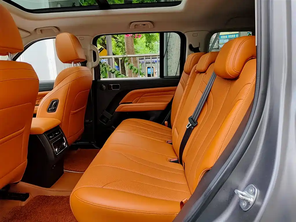 Haval H9 2024 2.0T Gasoline AWD Extreme Edition фото 8