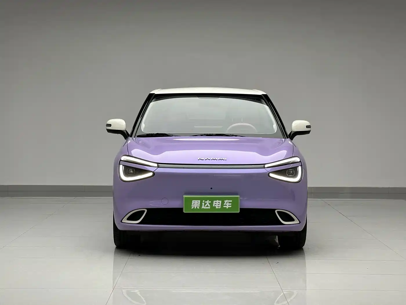 Dongfeng Yipai Nano 01 2025 2024 430 Plus Smart+