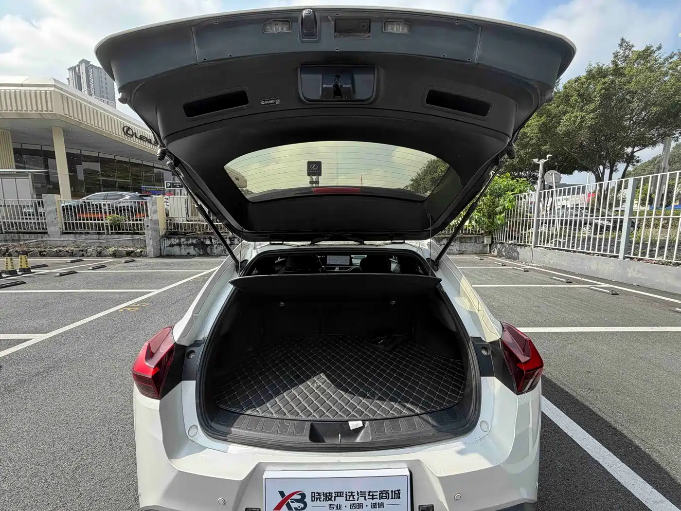 Lexus UX 2024 2022 260h Cool Edition