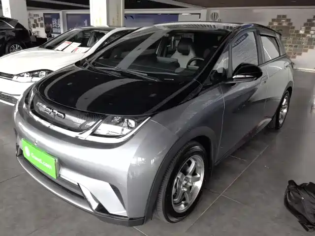 BYD Dolphin 420km, Стиль
